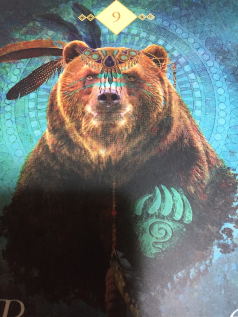 熊のオラクルカード